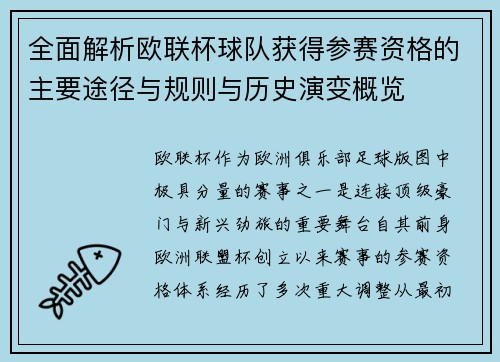 全面解析欧联杯球队获得参赛资格的主要途径与规则与历史演变概览 全面解析欧联杯球队获得参赛资格的主要途径与规则与历史演变概览